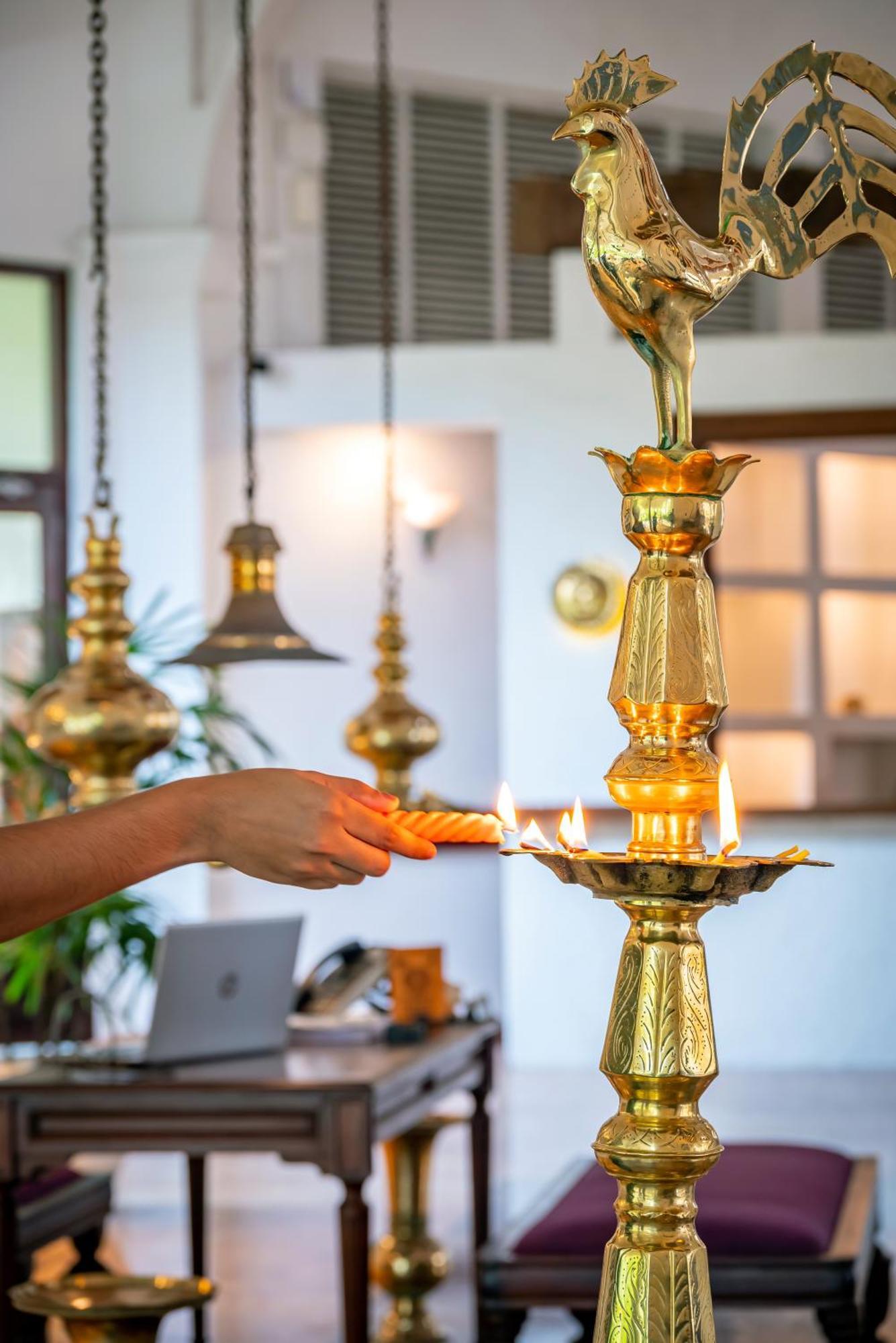 Royal Palms Beach Hotel Kalutara Eksteriør billede